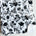 White blanket with black floral pattern.
