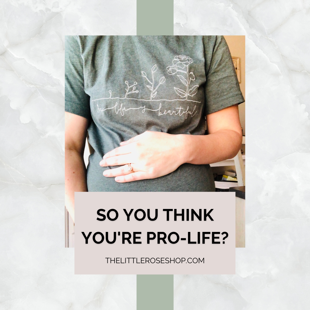 So You Think You're Pro-Life?