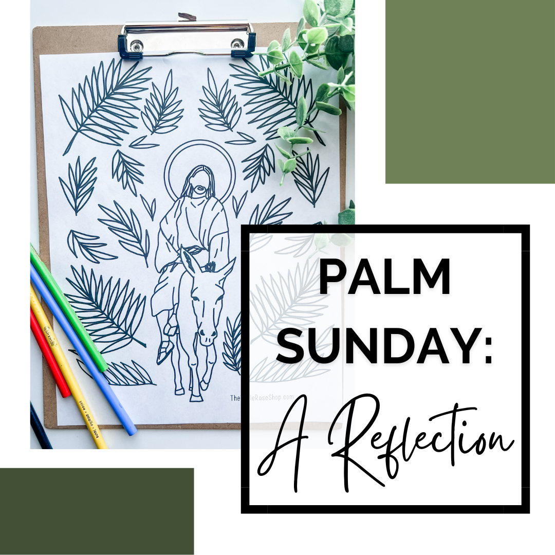 Reflection on Palm Sunday