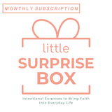 The Little Surprise Box - Monthly Subscription