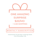 The Little Surprise Box - Monthly Subscription