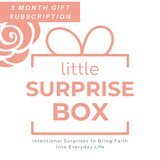 3 Month GIFT The Little Surprise Box -  Gift Subscription