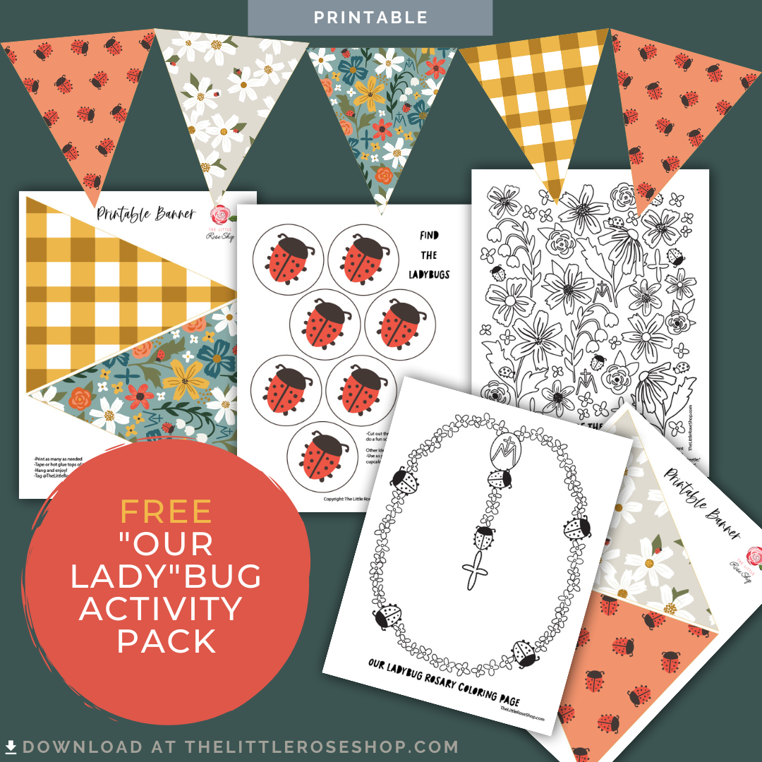 Printable Ladybug Activity Pack Bundle