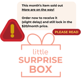 The Little Surprise Box - Monthly Subscription